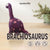 Preorder Beginner Brachiosaurus Needle Felting Kit – DIY Craft Gift