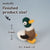 Preorder Beginner Duck Needle Felting Kit – DIY Craft Gift