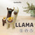 Llama Needle Felting Kit | Beginner DIY Wool Fiber Craft Project (min. order qty 4 required)