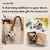 Preorder Beginner Opossum Needle Felting Kit – DIY Craft Gift