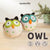 DIY Owl Bird Needle Felting Kit | Woodland Animal Craft Gift (min. order qty 4 required)