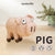 Preorder Beginner Pig Needle Felting Kit – DIY Craft Gift