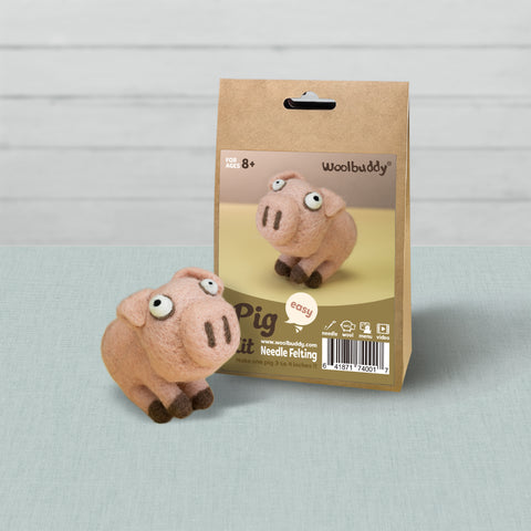 Preorder Beginner Pig Needle Felting Kit – DIY Craft Gift