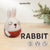 DIY Rabbit Bunny Needle Felting Kit | Pet Lover Craft Gift (min. order qty 4 required)