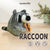 Preorder Beginner Raccoon Needle Felting Kit – DIY Craft Gift