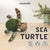 DIY Sea Turtle Needle Felting Kit | Ocean Marine Life Craft Gift (min. order qty 4 required)
