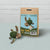 DIY Sea Turtle Needle Felting Kit | Ocean Marine Life Craft Gift (min. order qty 4 required)
