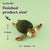 DIY Sea Turtle Needle Felting Kit | Ocean Marine Life Craft Gift (min. order qty 4 required)