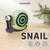 Preorder Beginner Snail Needle Felting Kit – DIY Craft Gift