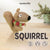 Preorder Beginner Squirrel Needle Felting Kit – DIY Craft Gift
