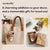 Preorder Beginner Squirrel Needle Felting Kit – DIY Craft Gift