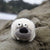 Wool Felt White Seal Ornament – Arctic Marine Holiday Decoration (min. order qty 6 required)