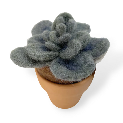 Stormy Plant | Unique Felted Monster Succulent Gift (min. order qty 3 required)