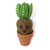 Cute Sprout Plant Ornament | Seedling Succulent Decor & Gift (min. order qty 3 required)