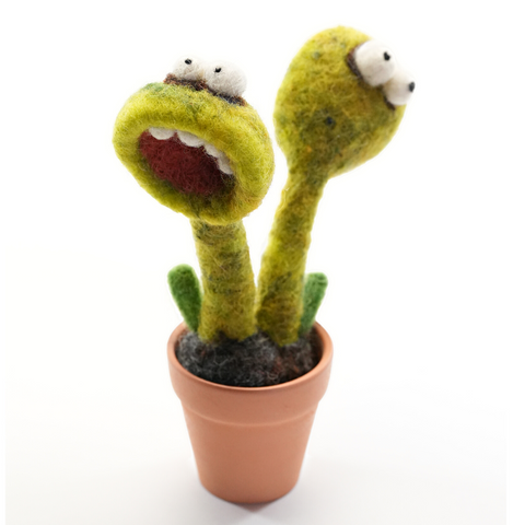 Felt Pooka Plant – Unique Handmade Wool Plant for Home Décor (Min. order qty 3 required)