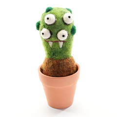 Club Plant | Premade Monster Succulent Gift (min. order qty 3 required)